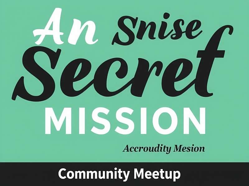 Anise Secret Mission Community Meetup